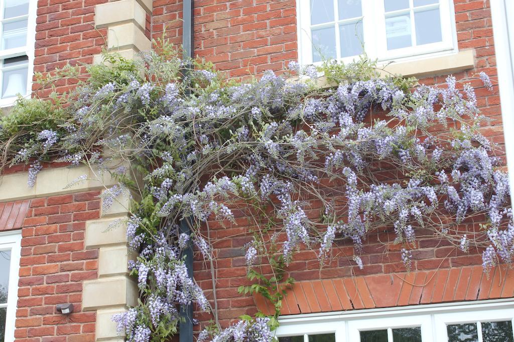 Austons Down Farm B&B Claverdon Экстерьер фото